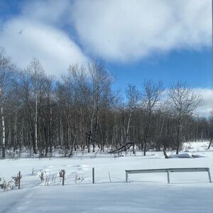 Meet your Posher, Heidi